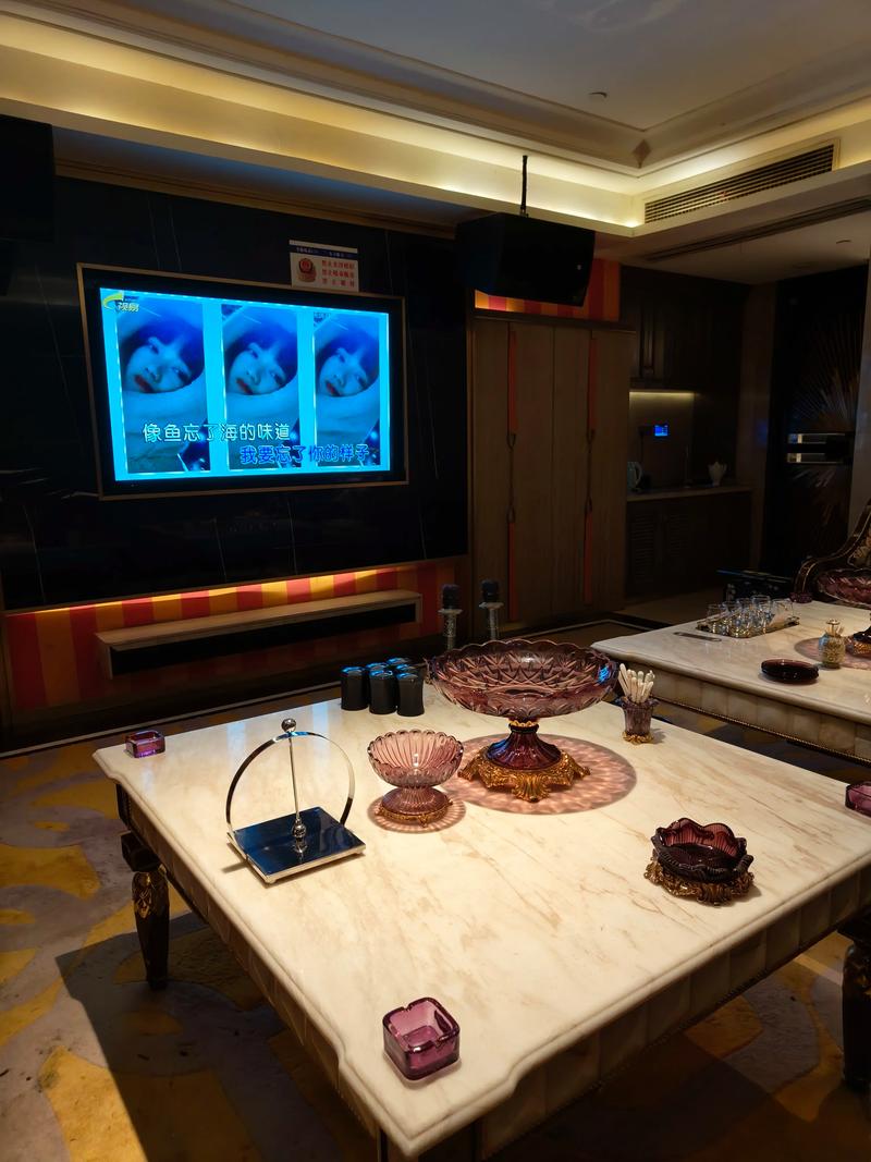 濮阳商务ktv性价比首选推荐-清丰县ktv预定